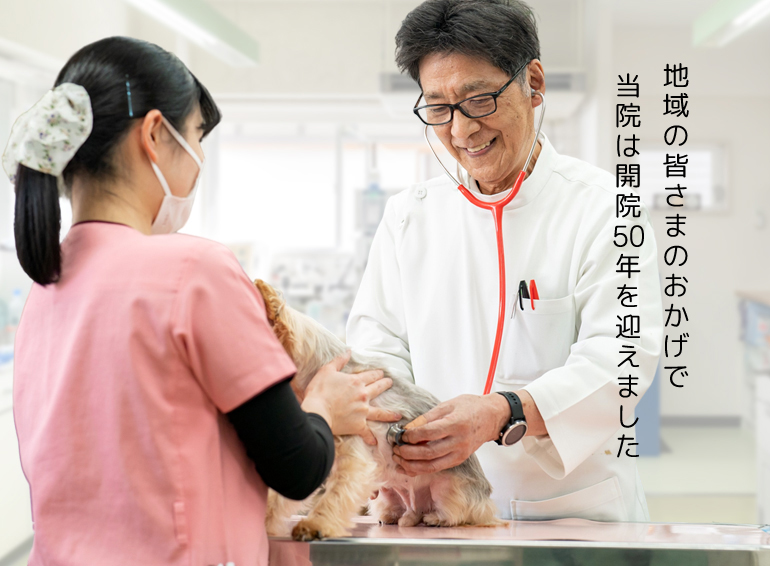 開院50年の広島市安佐北区の動物病院